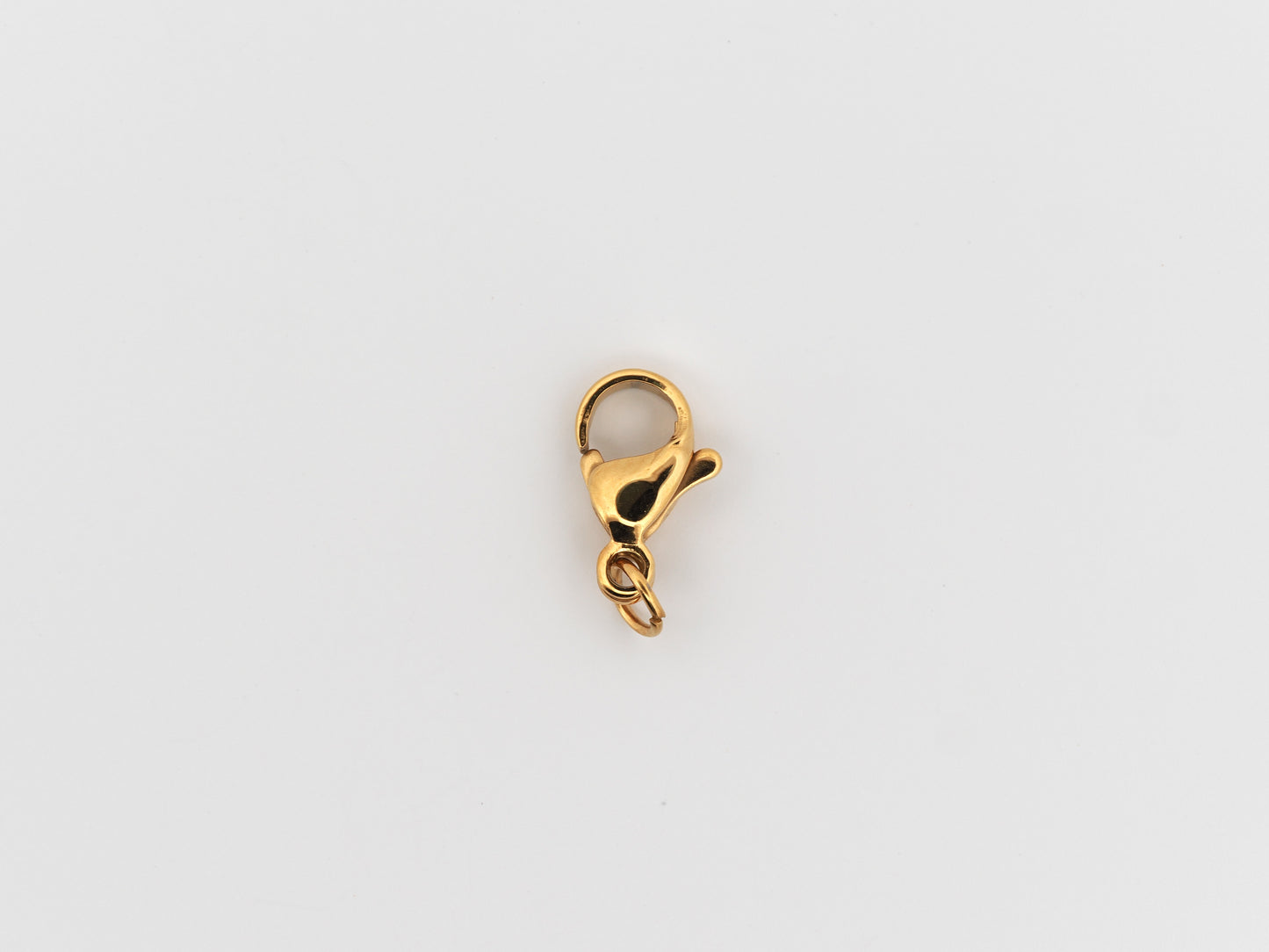 Gold clasp on a white background