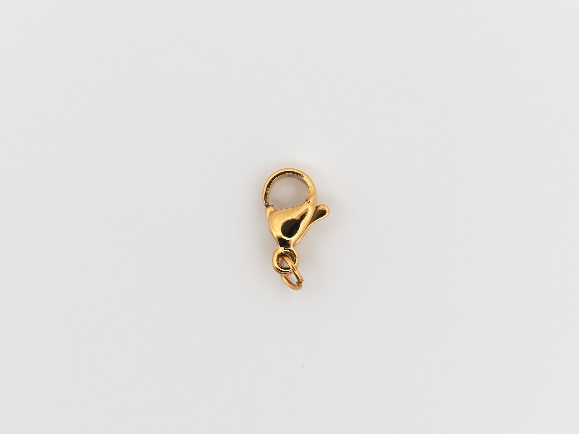 Gold clasp on a white background