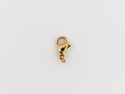 Gold clasp on a white background