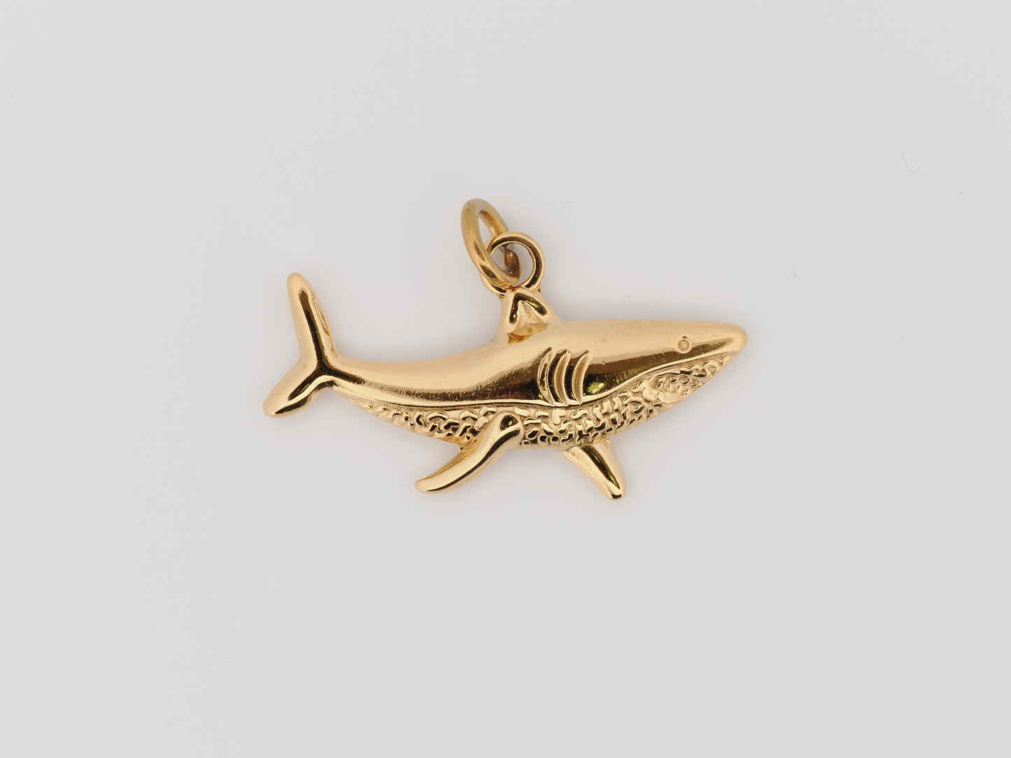 Shark