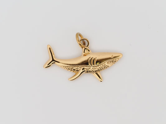 Shark