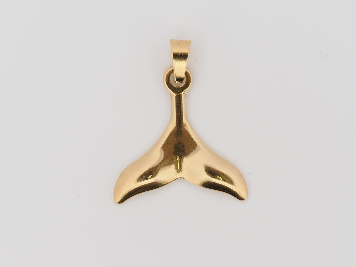 Whale fin