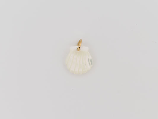 Shell in pearl